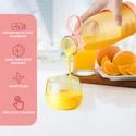 Electric Juicer